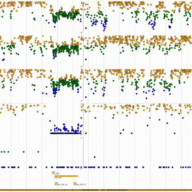 Genomic map of candidate human imprint control regions: the imprintome