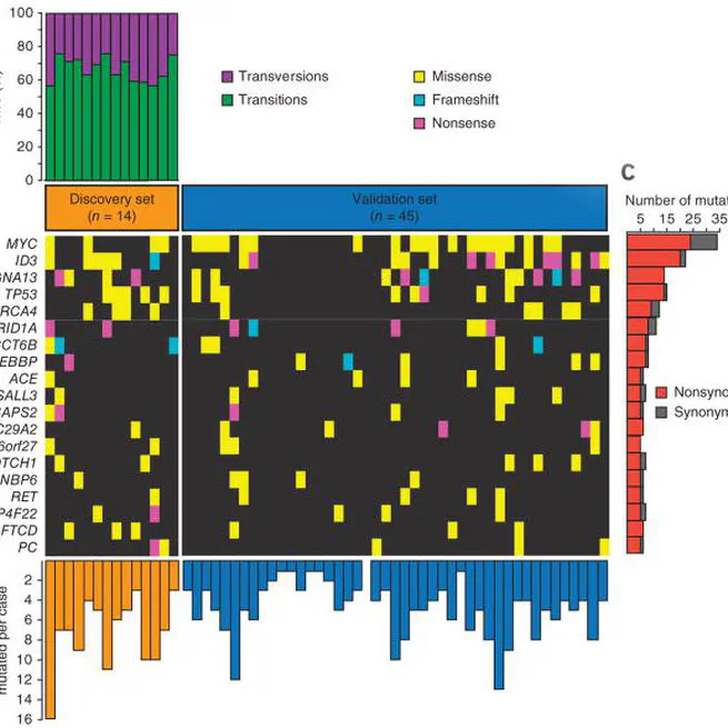 The genetic landscape of mutations in Burkitt lymphoma