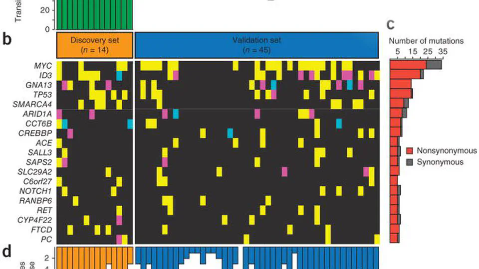 The genetic landscape of mutations in Burkitt lymphoma